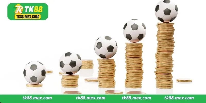 Cách cá độ bóng đá Sbobet cho người mới