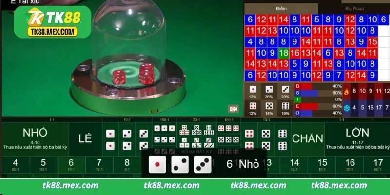 Khái Quát về Nhà Cái Tk88